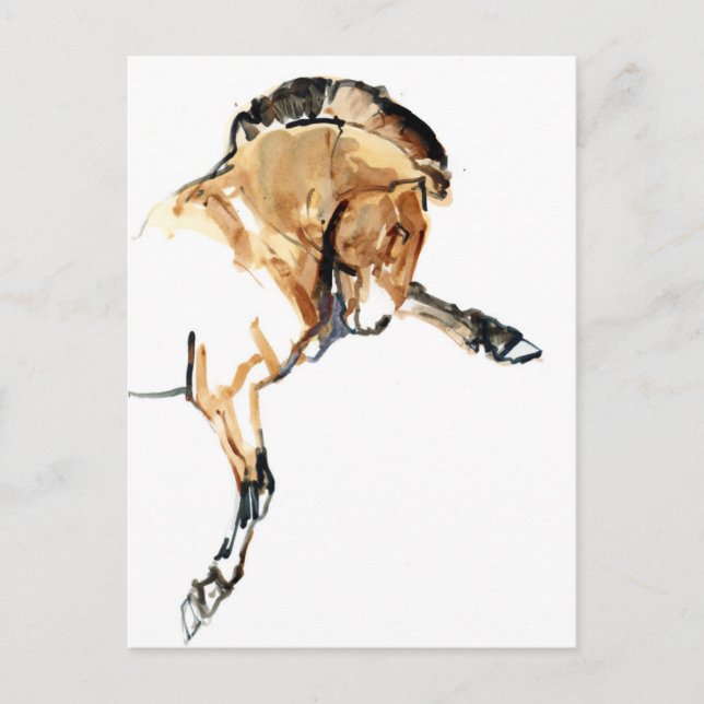 Cartão Postal Garanhão (Frente)