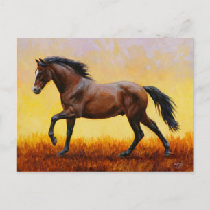 Cartão Postal Garanhão Baio Escuro Cavalo Galopando