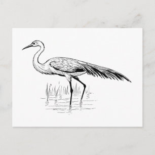 Cartão Postal garça