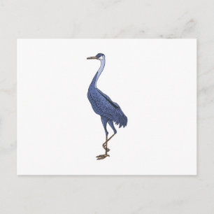 Cartão Postal garça azul