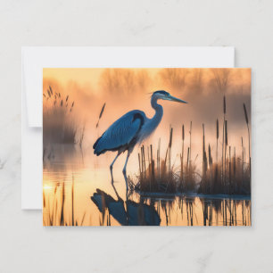 Cartão Postal Garça em um Pântano Nebuloso ao Nascer do Sol