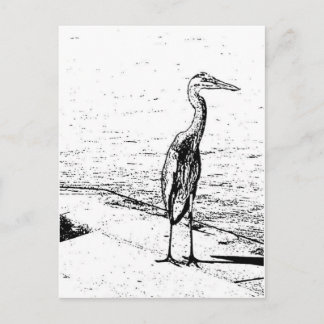 Cartão Postal Garça-real na tinta