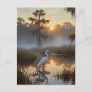 Cartão Postal Garças no Parque Nacional Everglades pela Manhã