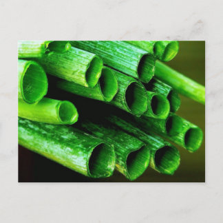 Cartão Postal Garden Grown Leeks