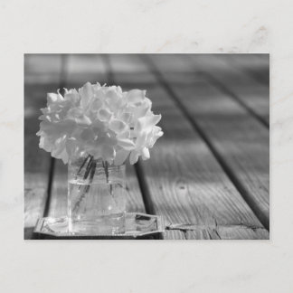 Cartão Postal Gardenias