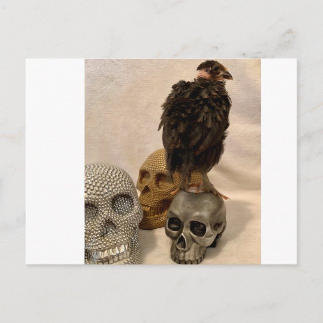 Cartão Postal Gargoyle (Frente)