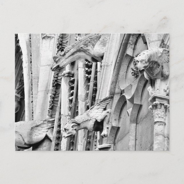 Cartão Postal Gargoyles, Catedral de Notre Dame de Paris, Paris (Frente)