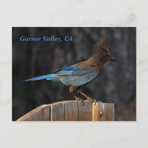 Cartão Postal Garner Valley, CA postal card