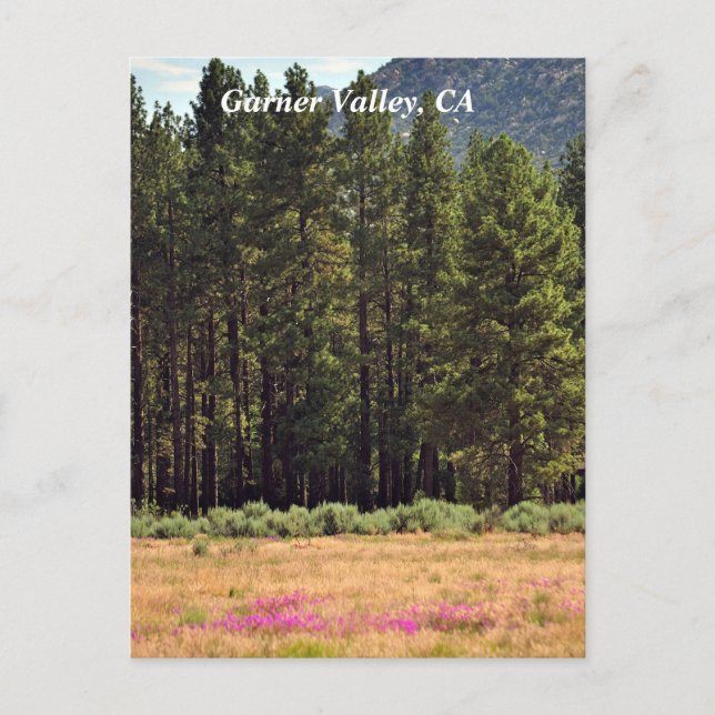 Cartão Postal Garner Valley, CA postal card (Frente)