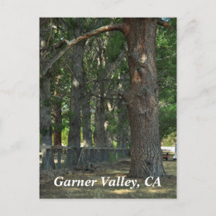 Cartão Postal Garner Valley, CA Postcard
