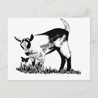 Cartão Postal garoto alpino