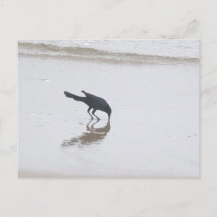 Cartão Postal Garrafa de bolso para uma série de refeições