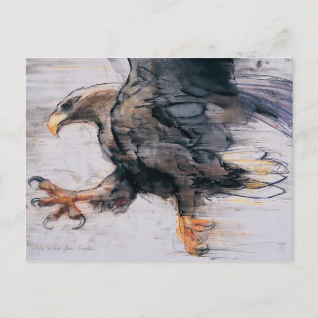 Cartão Postal Garras - mar Eagle atado branco 2001 (Frente)