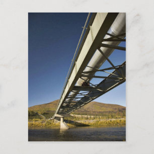 Cartão Postal Gasoduto Trans Alaska atravessando o garfo Sul de