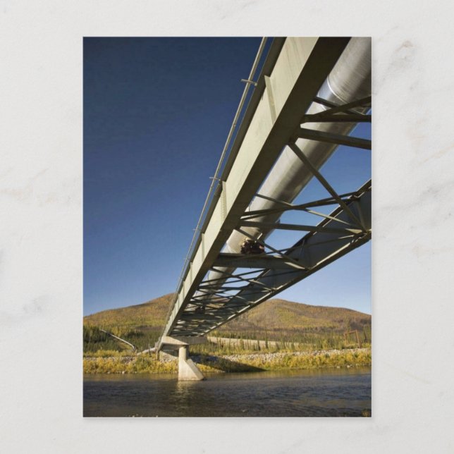 Cartão Postal Gasoduto Trans Alaska atravessando o garfo Sul de  (Frente)