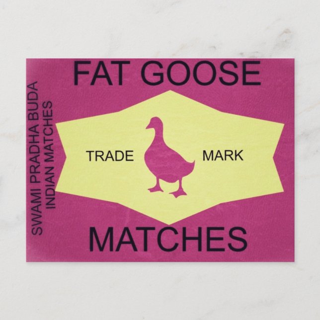 CARTÃO POSTAL GAT GOOSE (Frente)