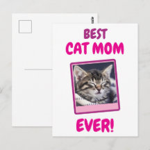 GATA MÃE MÃE SEMPRE PET AMOR DIA DAS MÃES CÃO