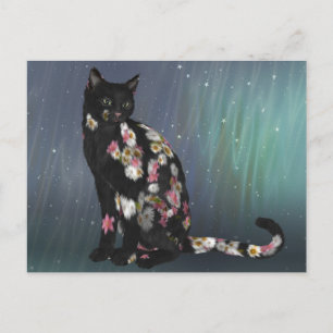 Cartão Postal Gata Margarida Preta Aconchegante