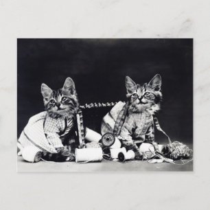 Cartão Postal Gatas de Costura Preto e Branco Vintage