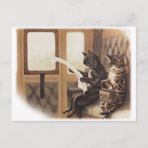 Cartão Postal Gatinho
