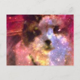 Cartão Postal gatinho aurora borealis