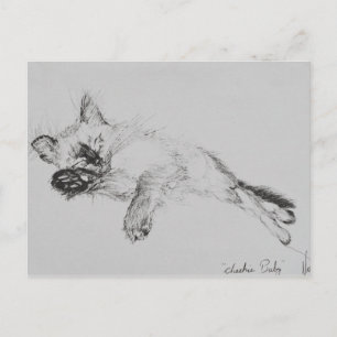 Cartão Postal Gatinho 'Bebê'