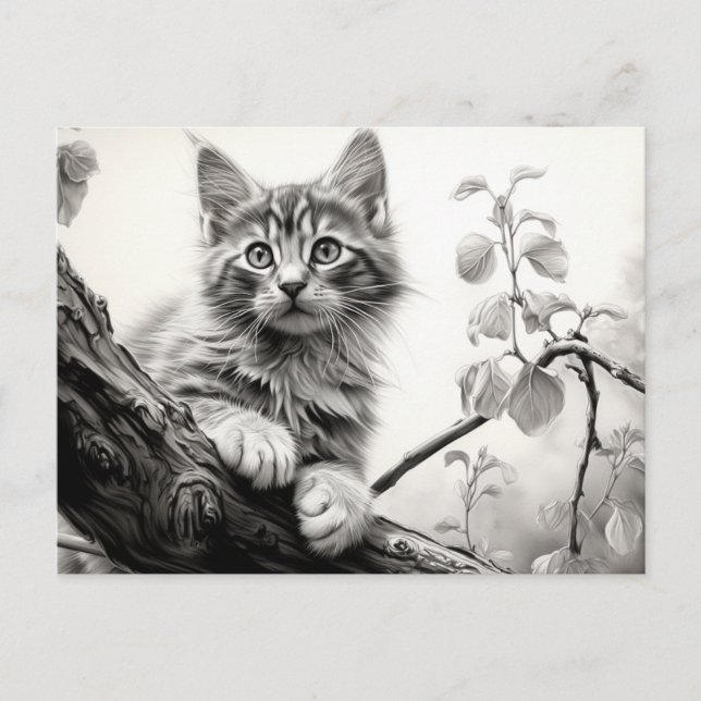 Cartão Postal Gatinho bonito - Arte de Desenho Preta e Branca (Frente)