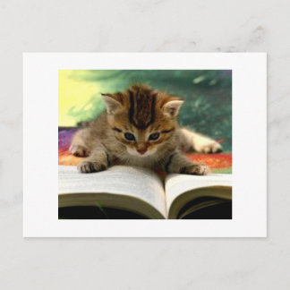 Cartão Postal Gatinho Bonito Lendo um Livro