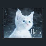 Cartão Postal Gatinho branco e bonito com olhos azuis Bonito<br><div class="desc">Cartão-postal com uma fotografia temática musical que apresenta uma imagem próxima das teclas de piano. Na moda e elegante.</div>