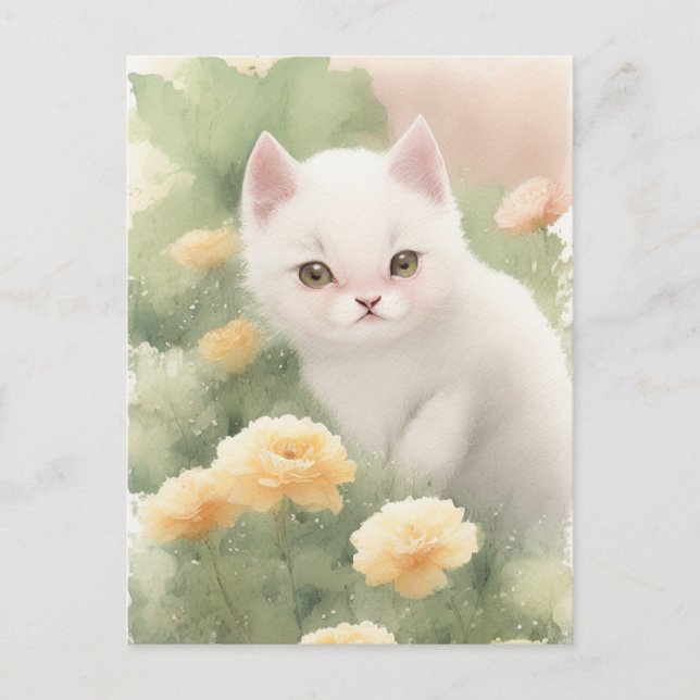 Cartão Postal Gatinho Branco Pequeno   (Frente)