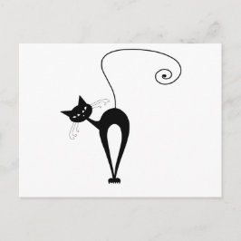Cartão Postal Gatinho branco preto 3
