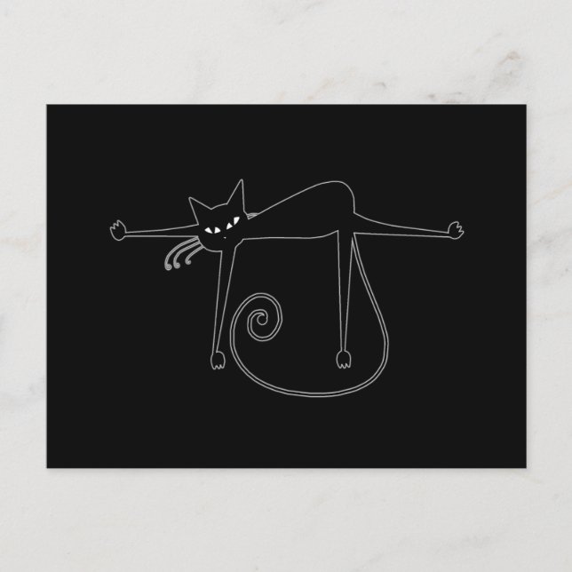 Cartão Postal Gatinho branco preto 8 (Frente)