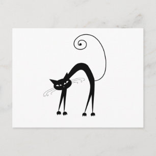 Cartão Postal Gatinho branco preto 9