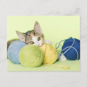 Cartão Postal Gatinho Brincando com Linha