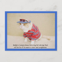 Gatinho Bubba Legal