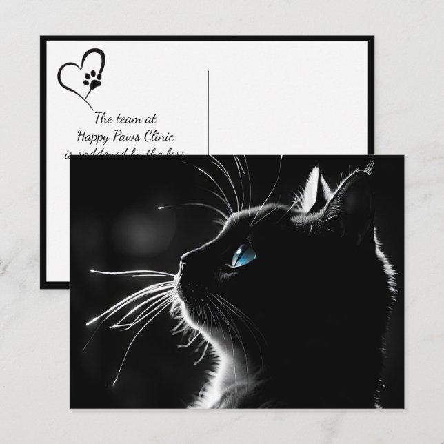 Cartão Postal Gatinho Com Brilho de Luz de Fundo Pet Simpatia Pe (Frente/Verso)