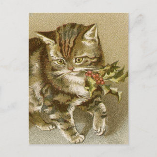 Cartão Postal:  Gatinho com Holly Sprig