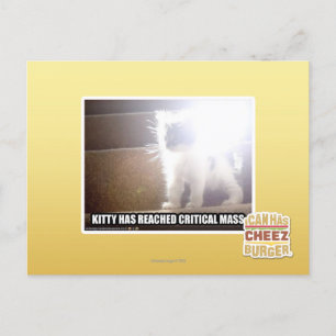 Cartão Postal Gatinho Crítico em Massa