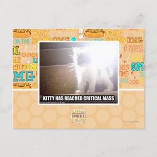 Cartão Postal Gatinho Crítico em Massa