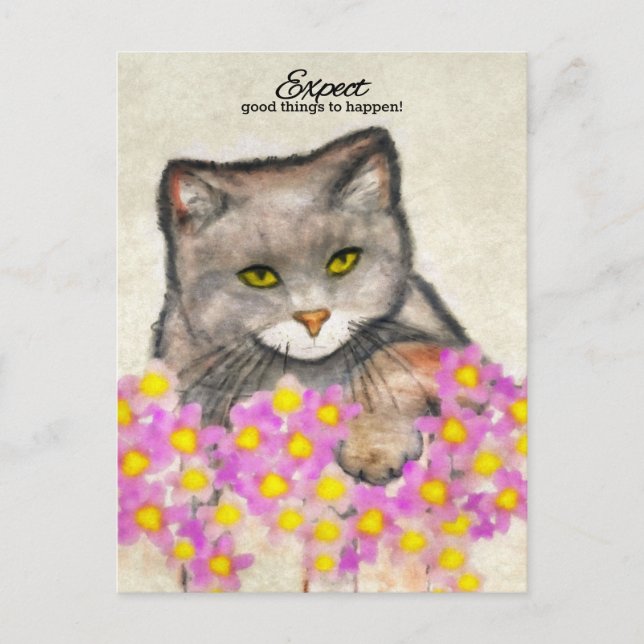 Cartão Postal Gatinho curioso - "Esperem que coisas boas aconteç (Frente)