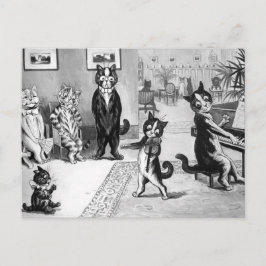 Cartão Postal Gatinho Dando um Recital