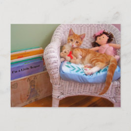 Cartão Postal gatinho de boneca Cole