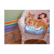 gatinho de boneca Cole