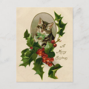 Cartão Postal Gatinho de Natal Vitoriano em Tabby Antigo com Aze