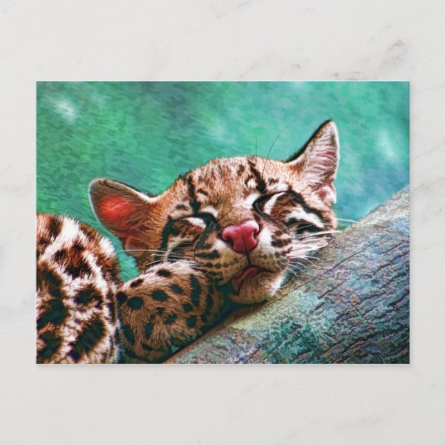 Cartão Postal Gatinho de Ocelot, Bebê Dormindo Bonito (Frente)