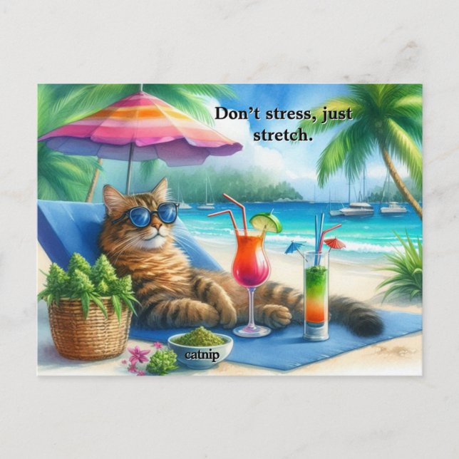 Cartão Postal Gatinho de Slogan Gato Engraçado na Praia (Frente)