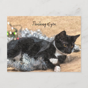 Cartão Postal Gatinho de Smoking Purpurina e Luzes Pensando em V