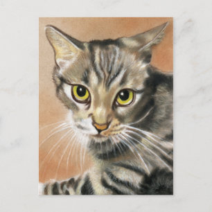 Cartão Postal Gatinho de Tigre Animal