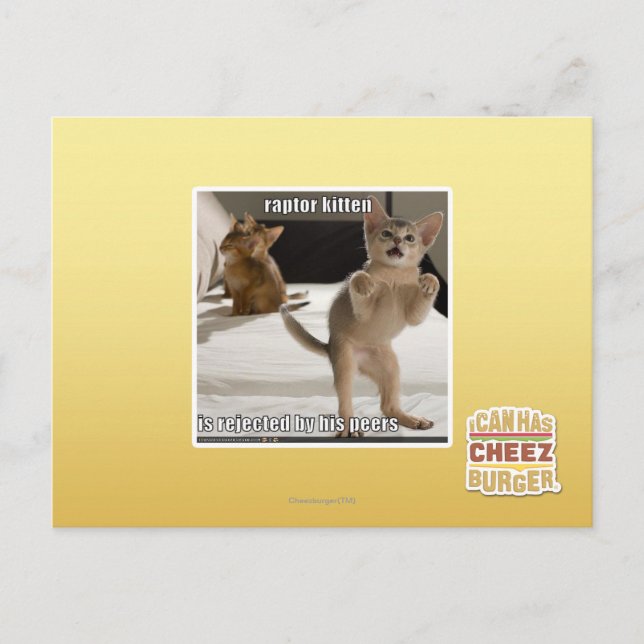 Cartão Postal Gatinho do raptor (Frente)