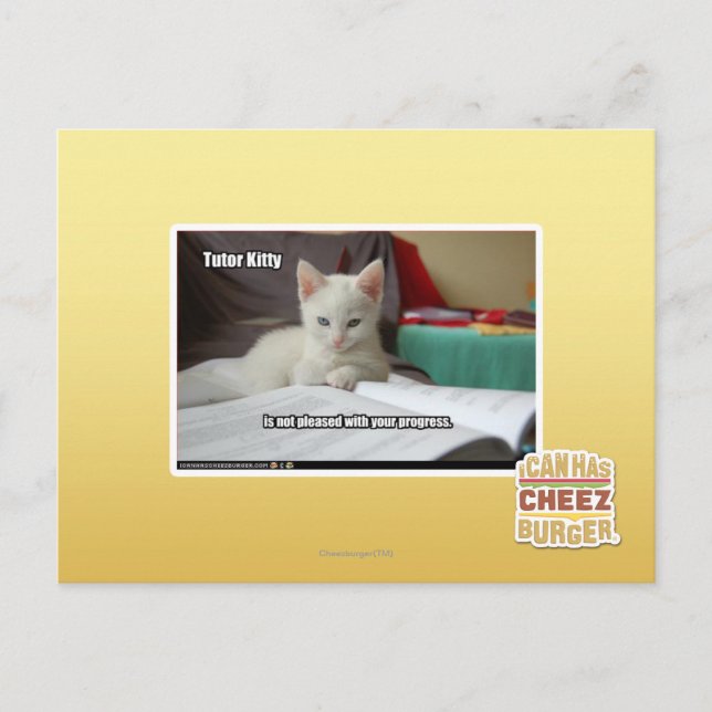 Cartão Postal Gatinho do Tutor (Frente)